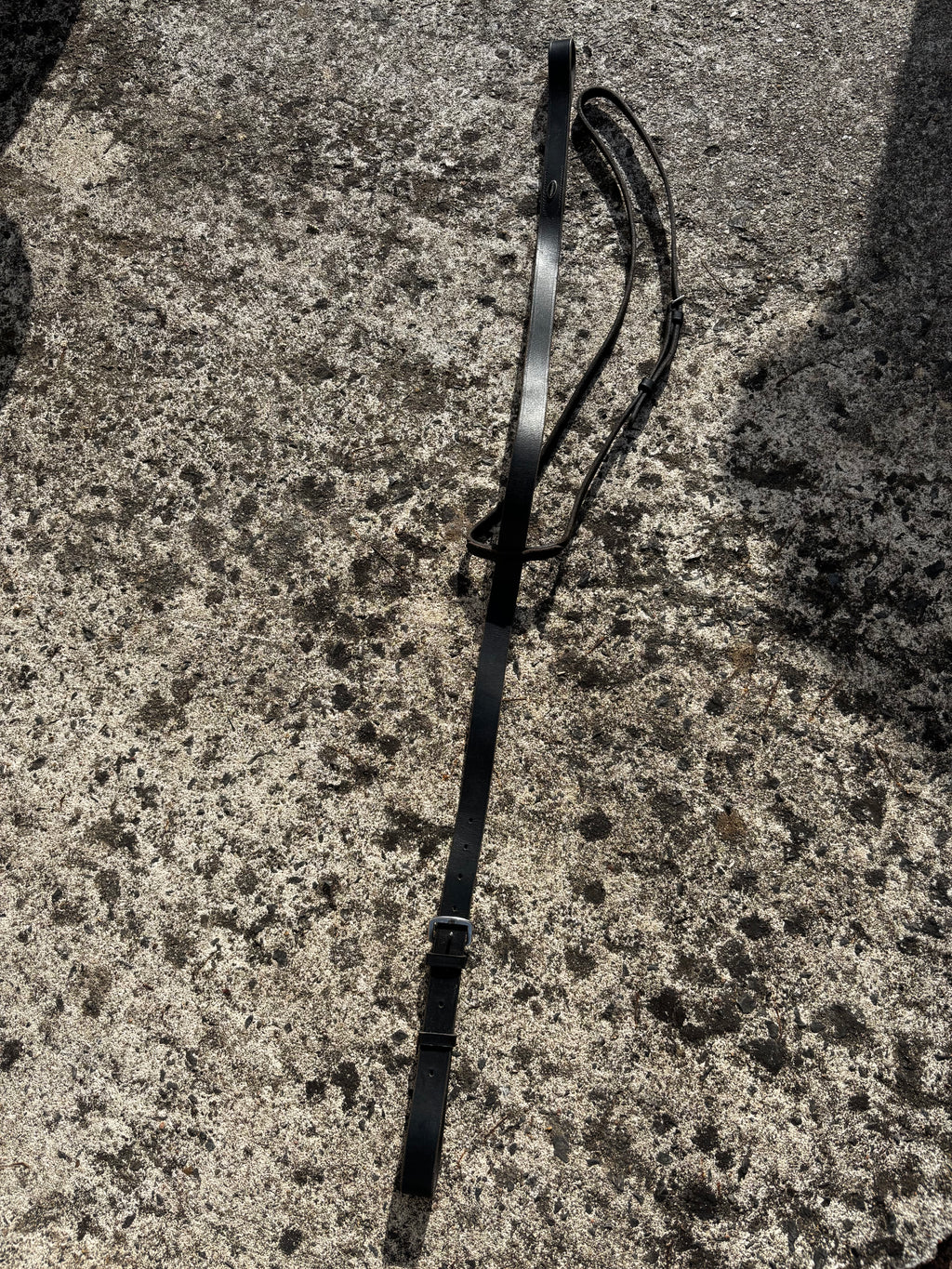 Martingale fixe CH Sellerie