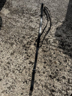 Martingale fixe CH Sellerie