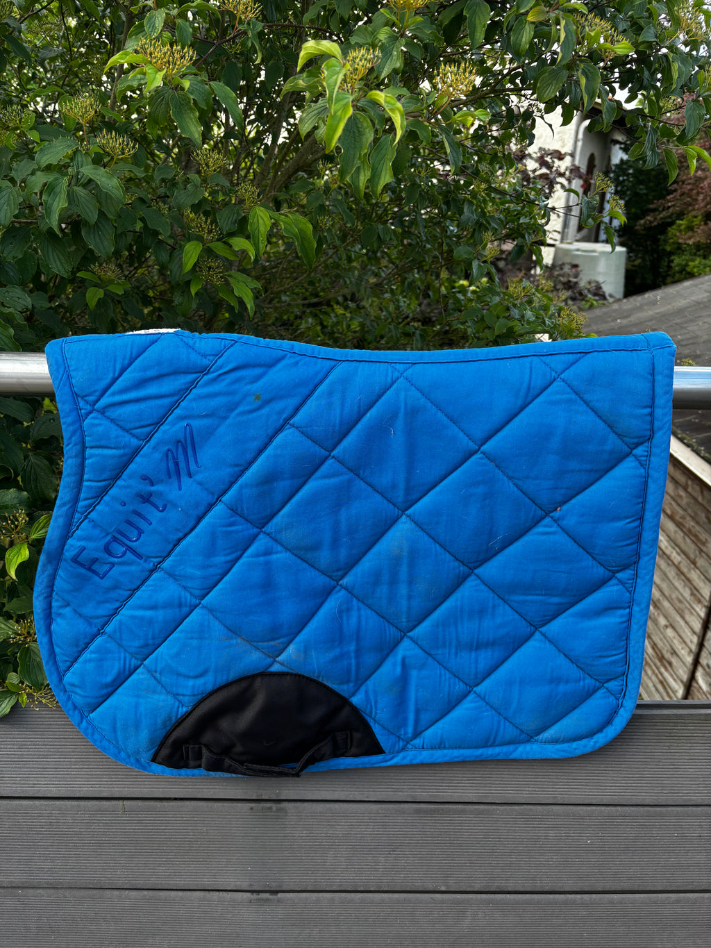 Tapis bleu CH Sellerie