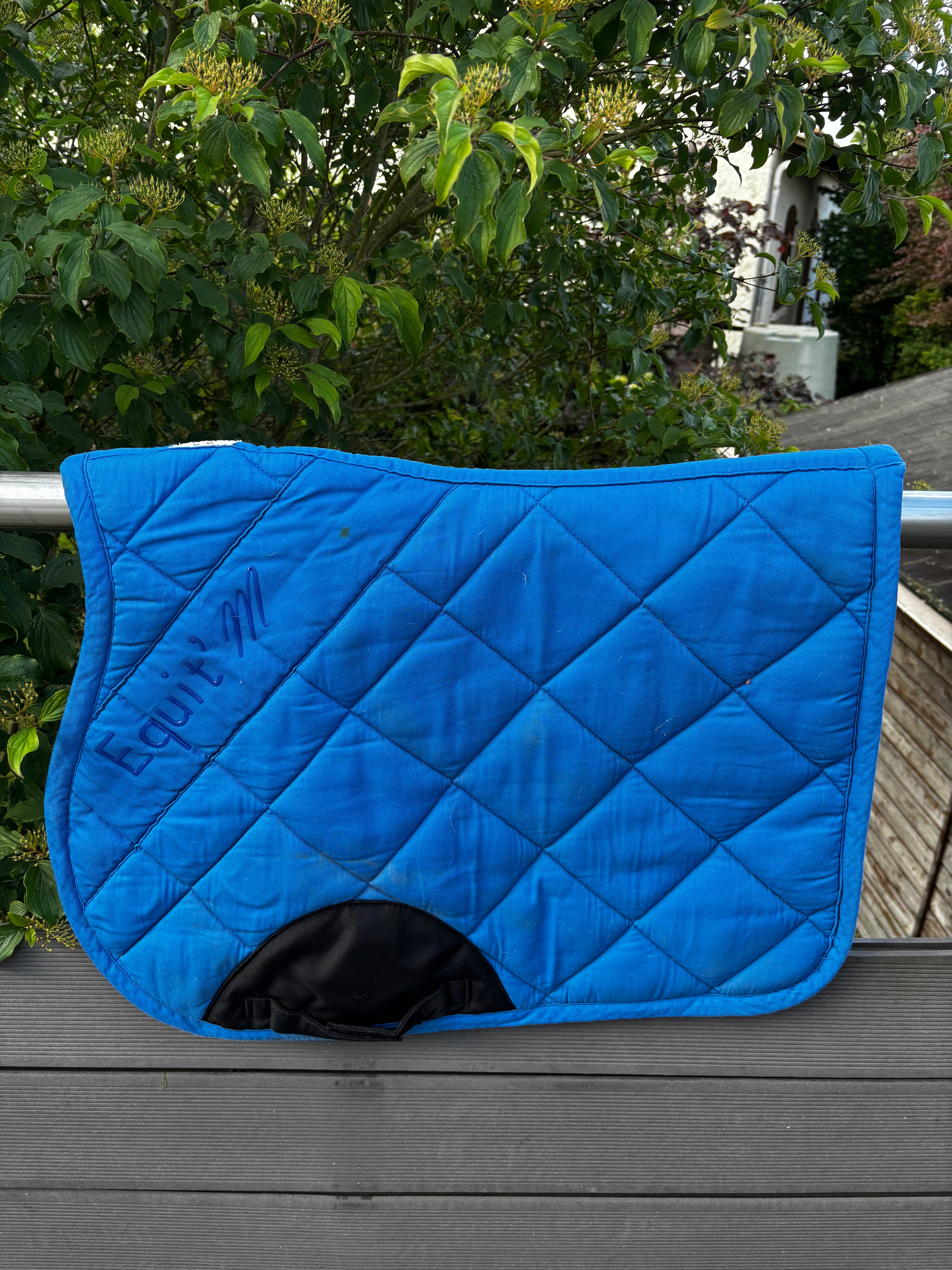 Tapis bleu CH Sellerie