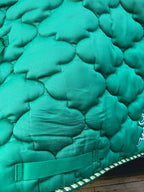 Tapis vert CH Sellerie