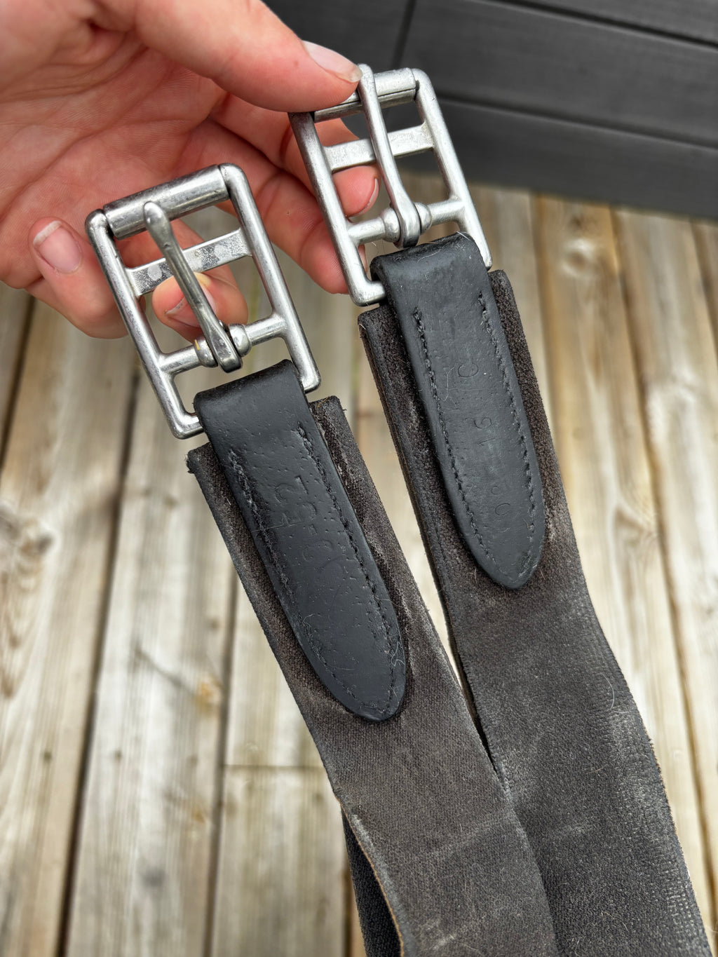 Bavette CWD CH Sellerie