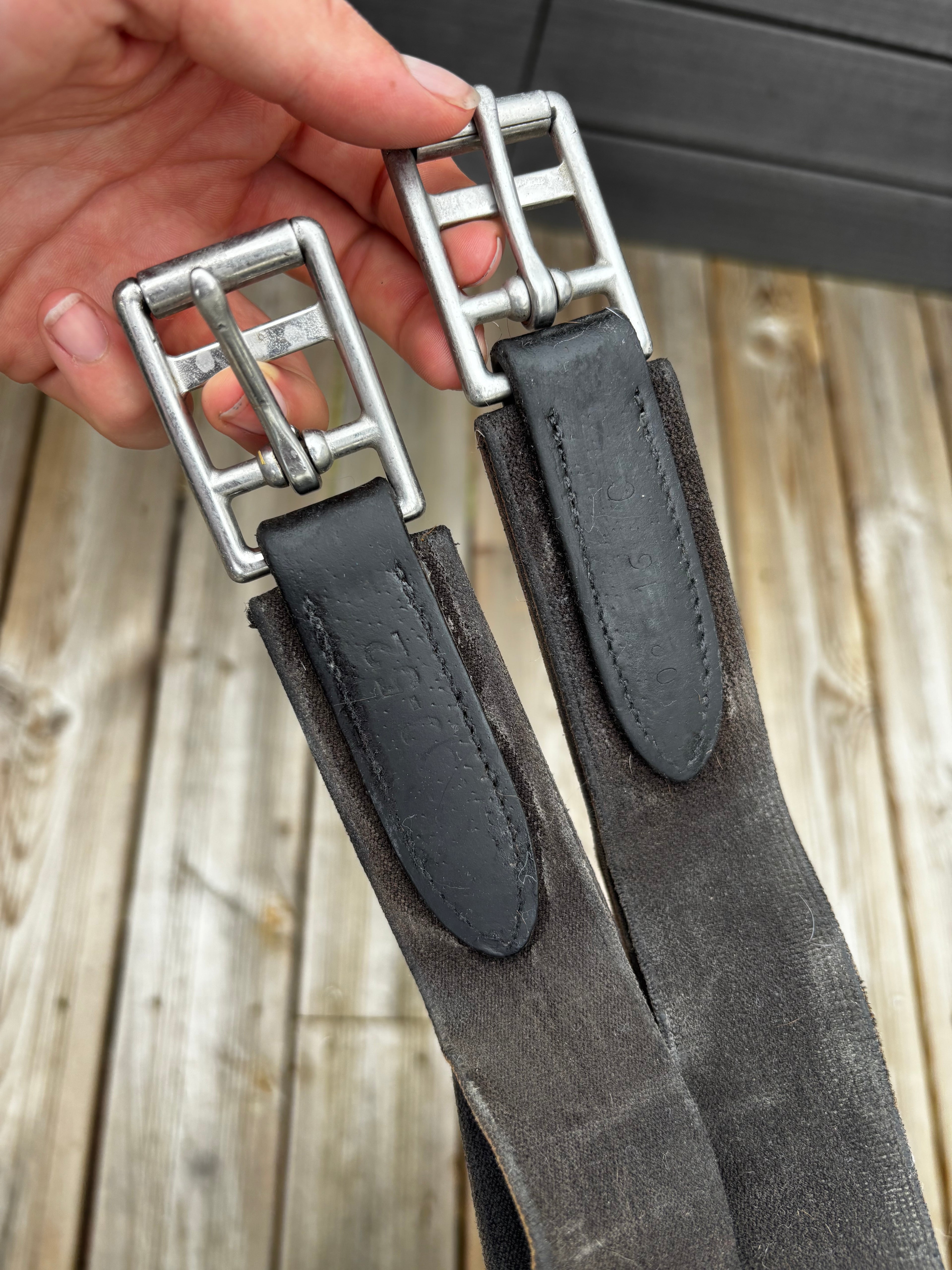 Bavette CWD CH Sellerie