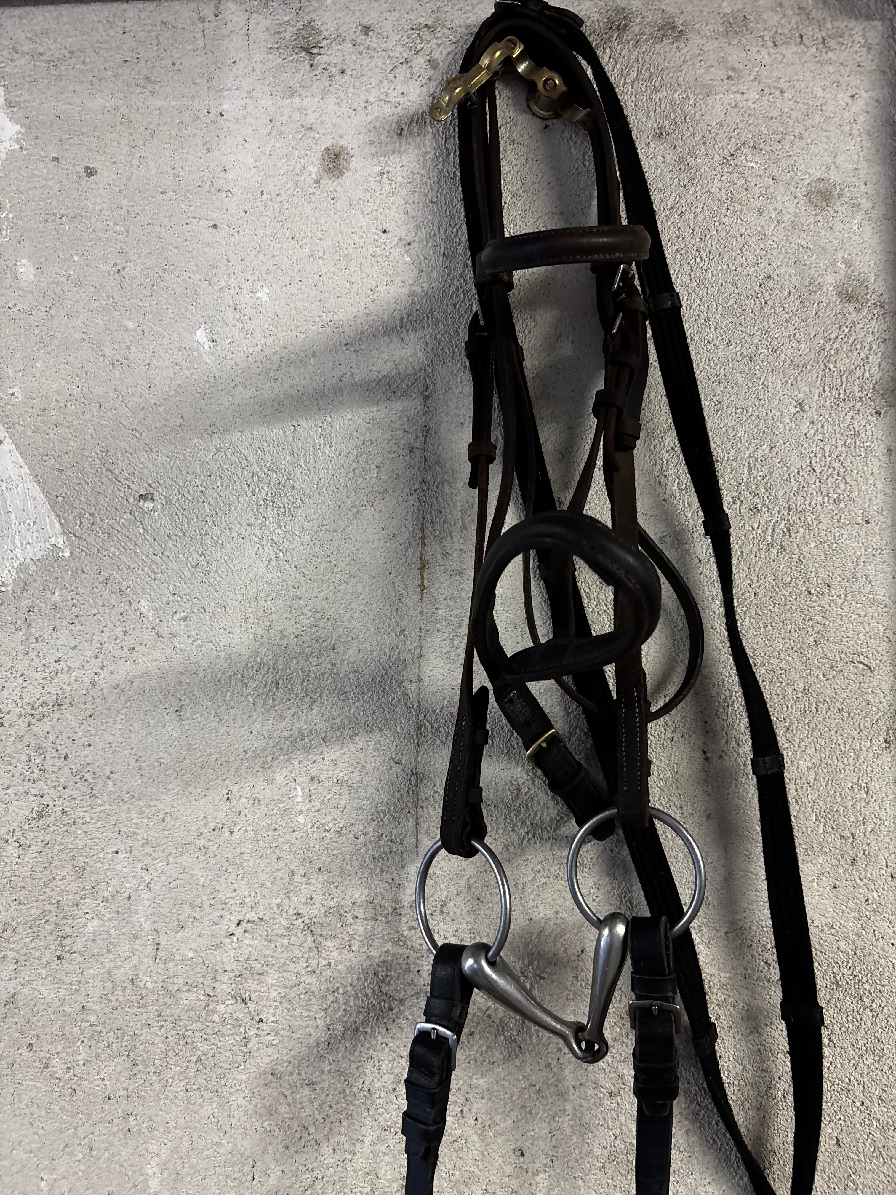 Filet poney CH Sellerie