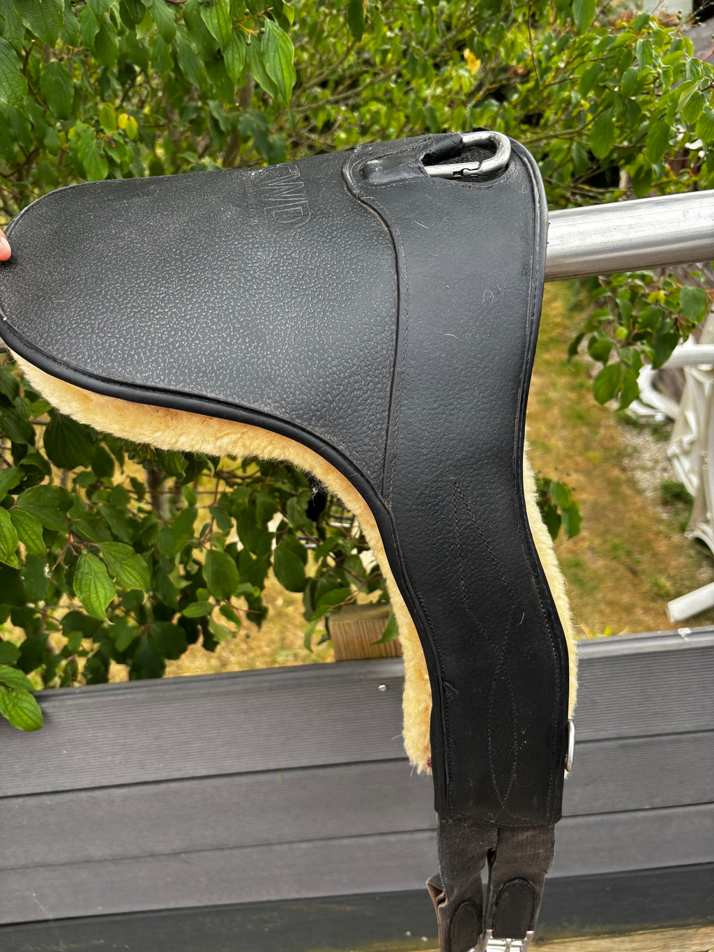 Bavette CWD CH Sellerie