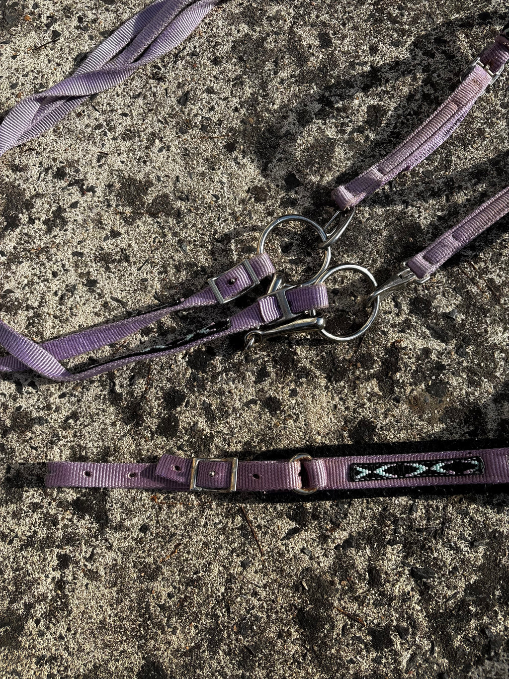 Ensemble filet+collier de chasse CH Sellerie
