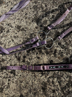 Ensemble filet+collier de chasse CH Sellerie