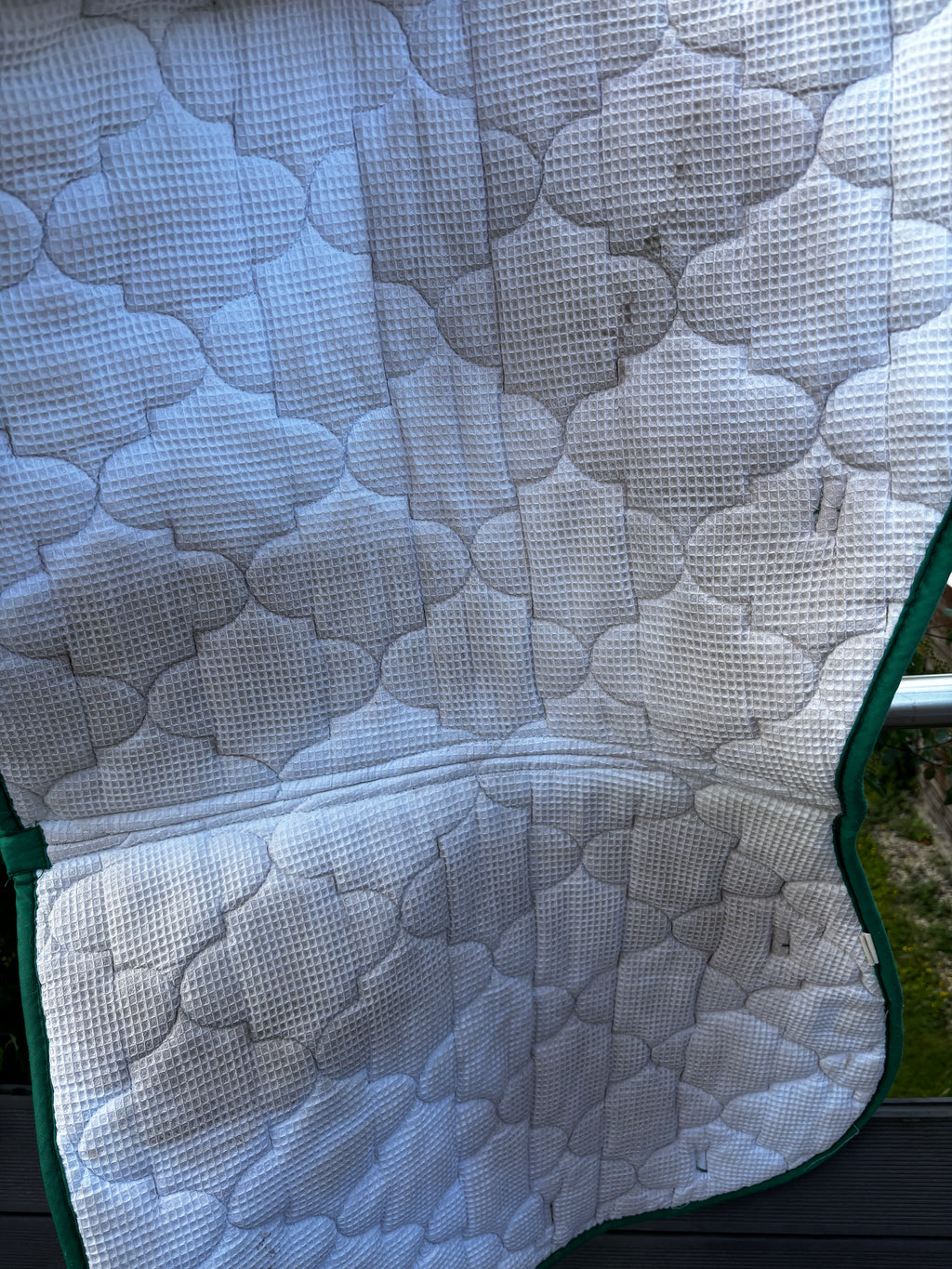 Tapis vert CH Sellerie