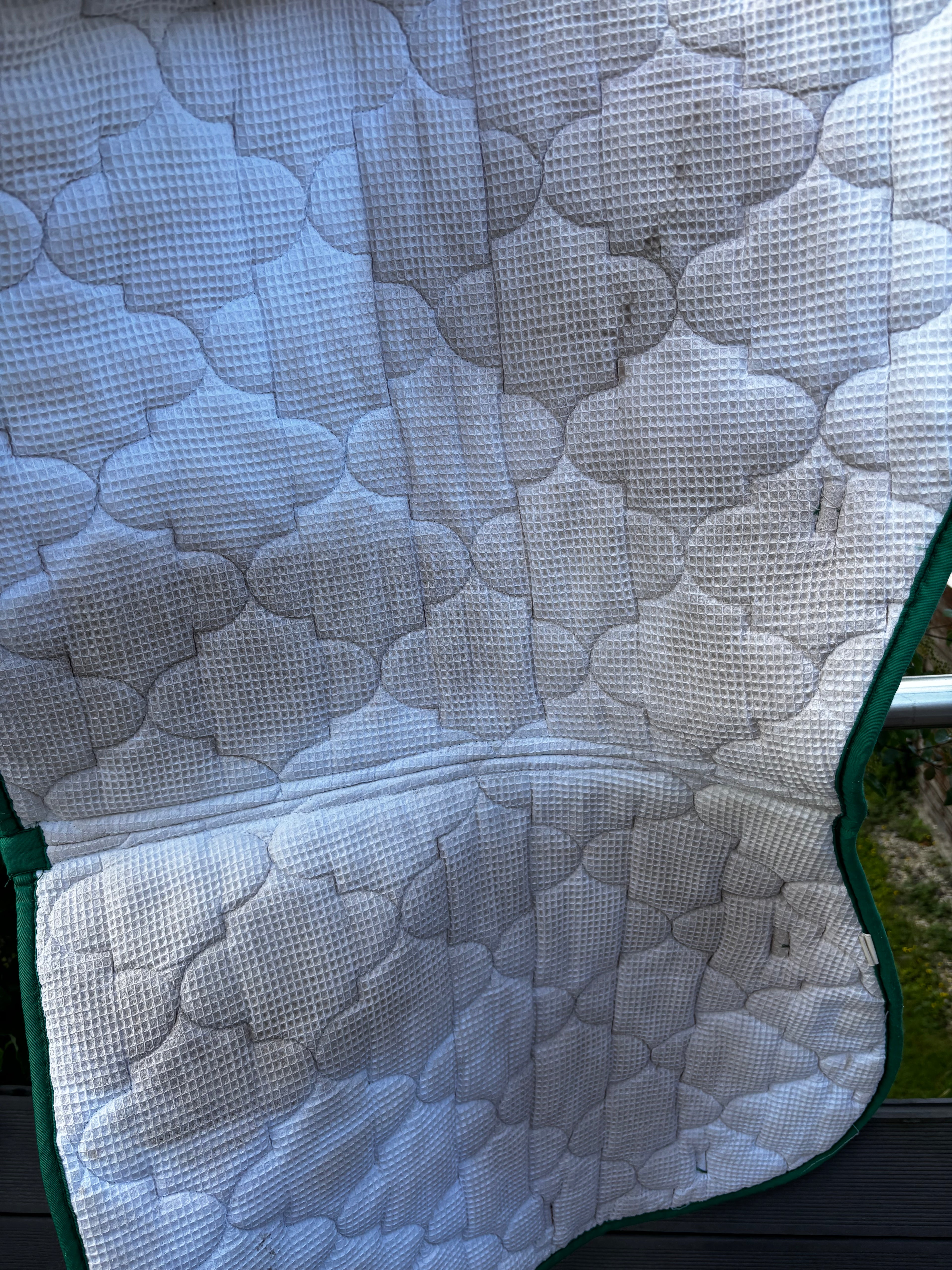 Tapis vert CH Sellerie