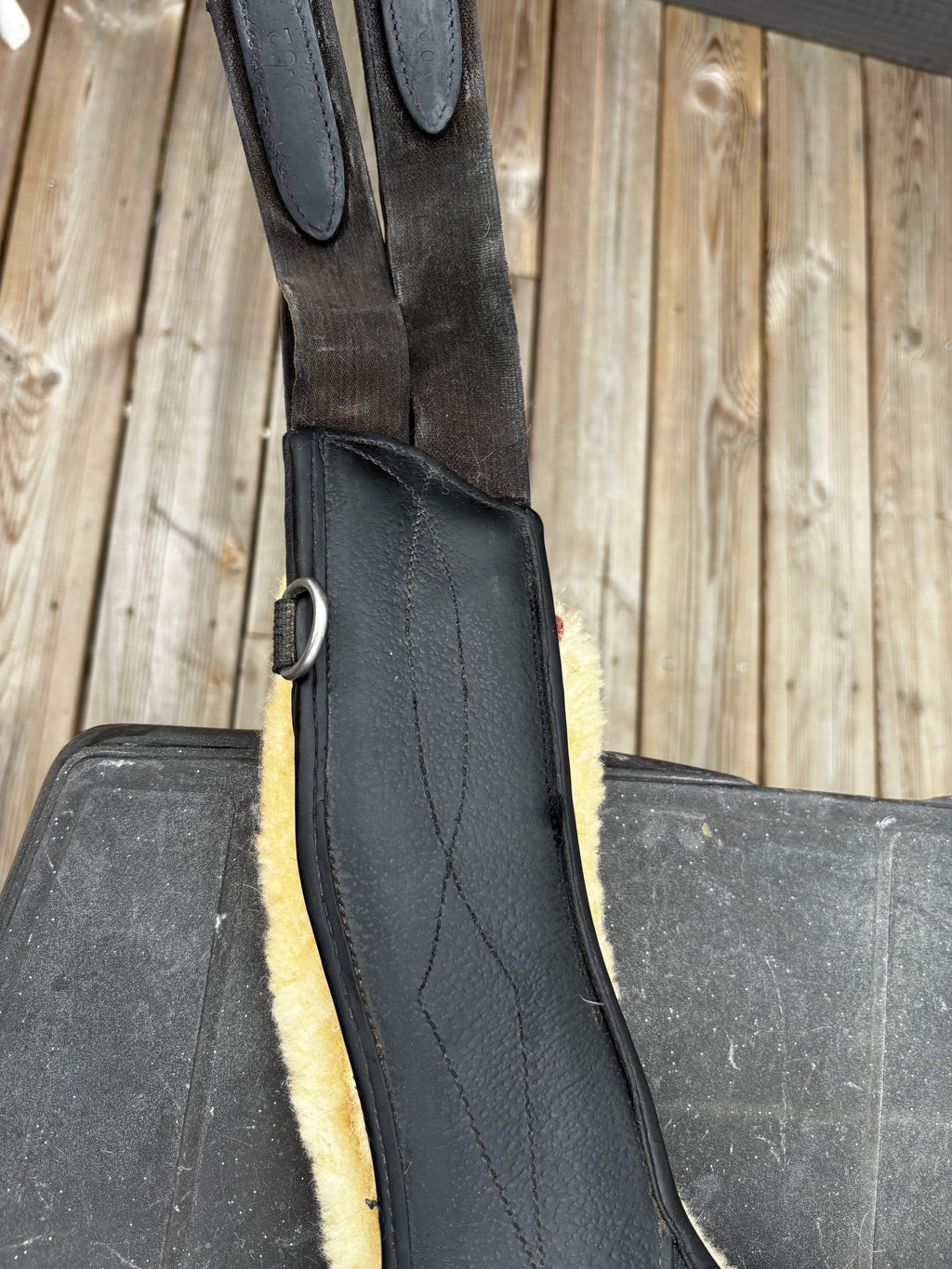 Bavette CWD CH Sellerie