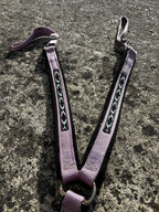 Ensemble filet+collier de chasse CH Sellerie