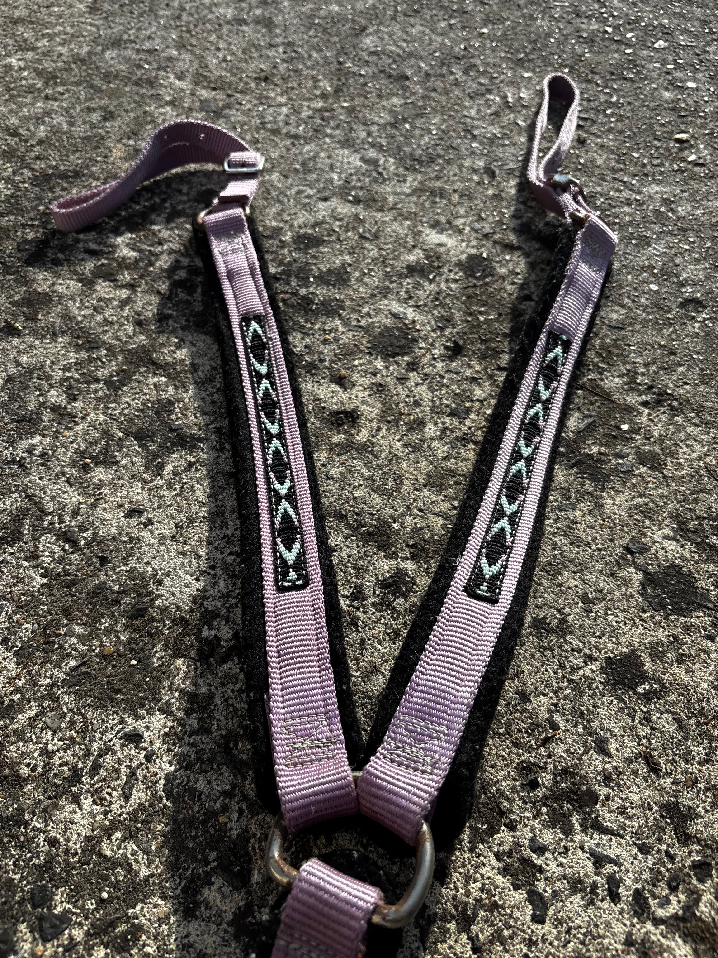 Ensemble filet+collier de chasse CH Sellerie