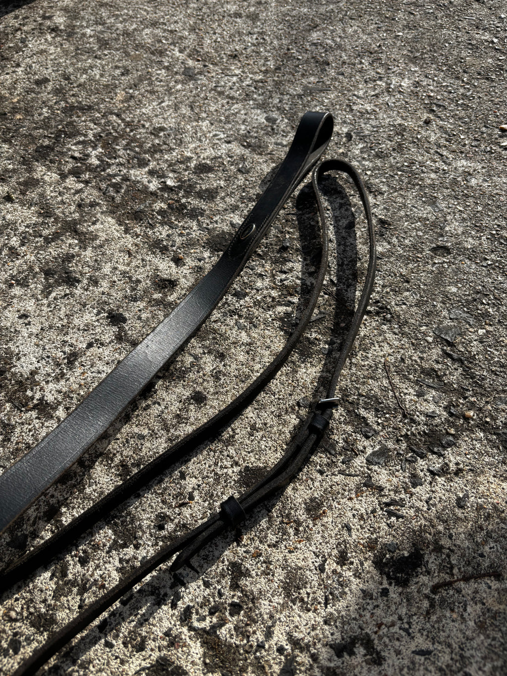 Martingale fixe CH Sellerie