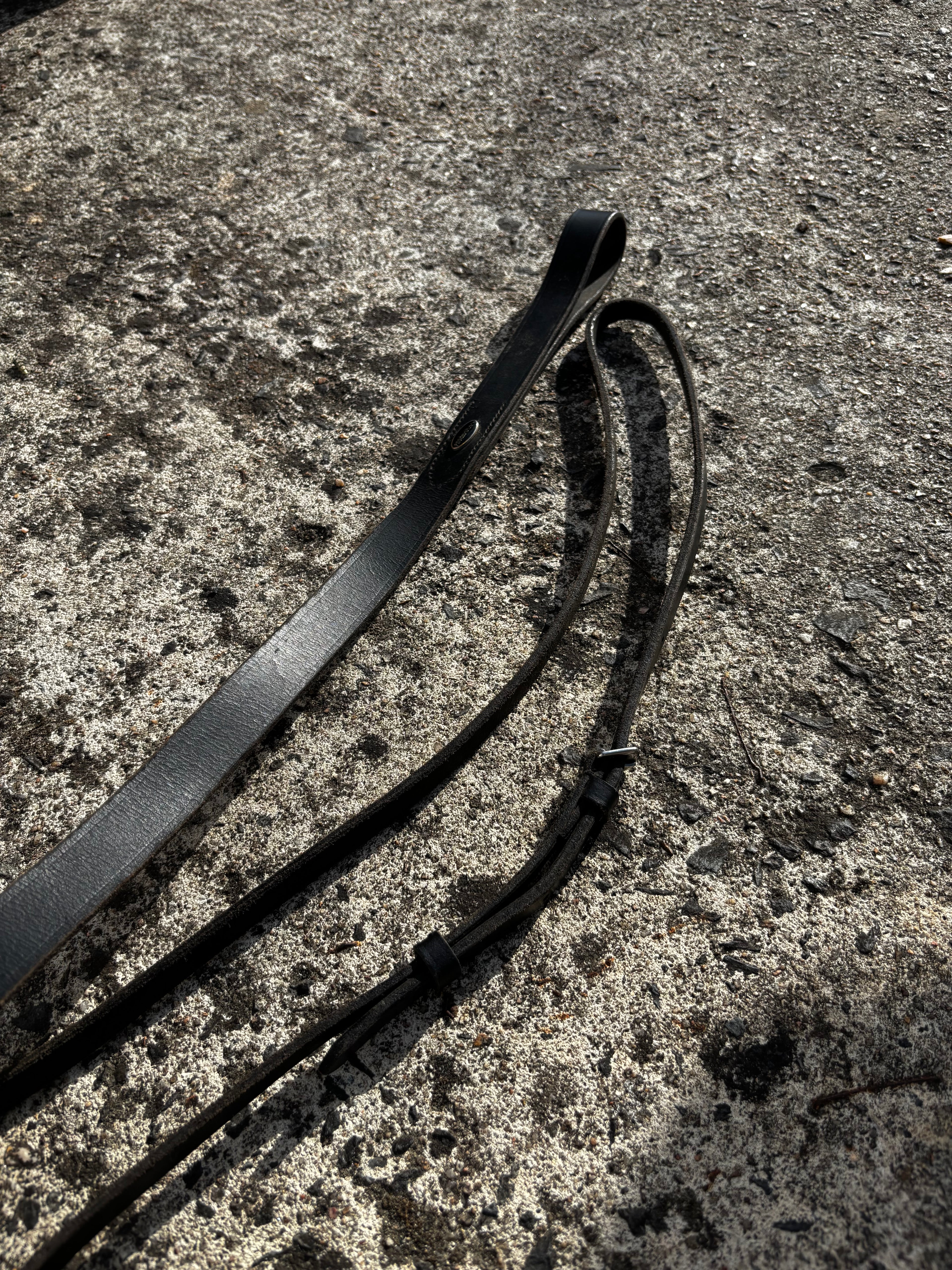 Martingale fixe CH Sellerie