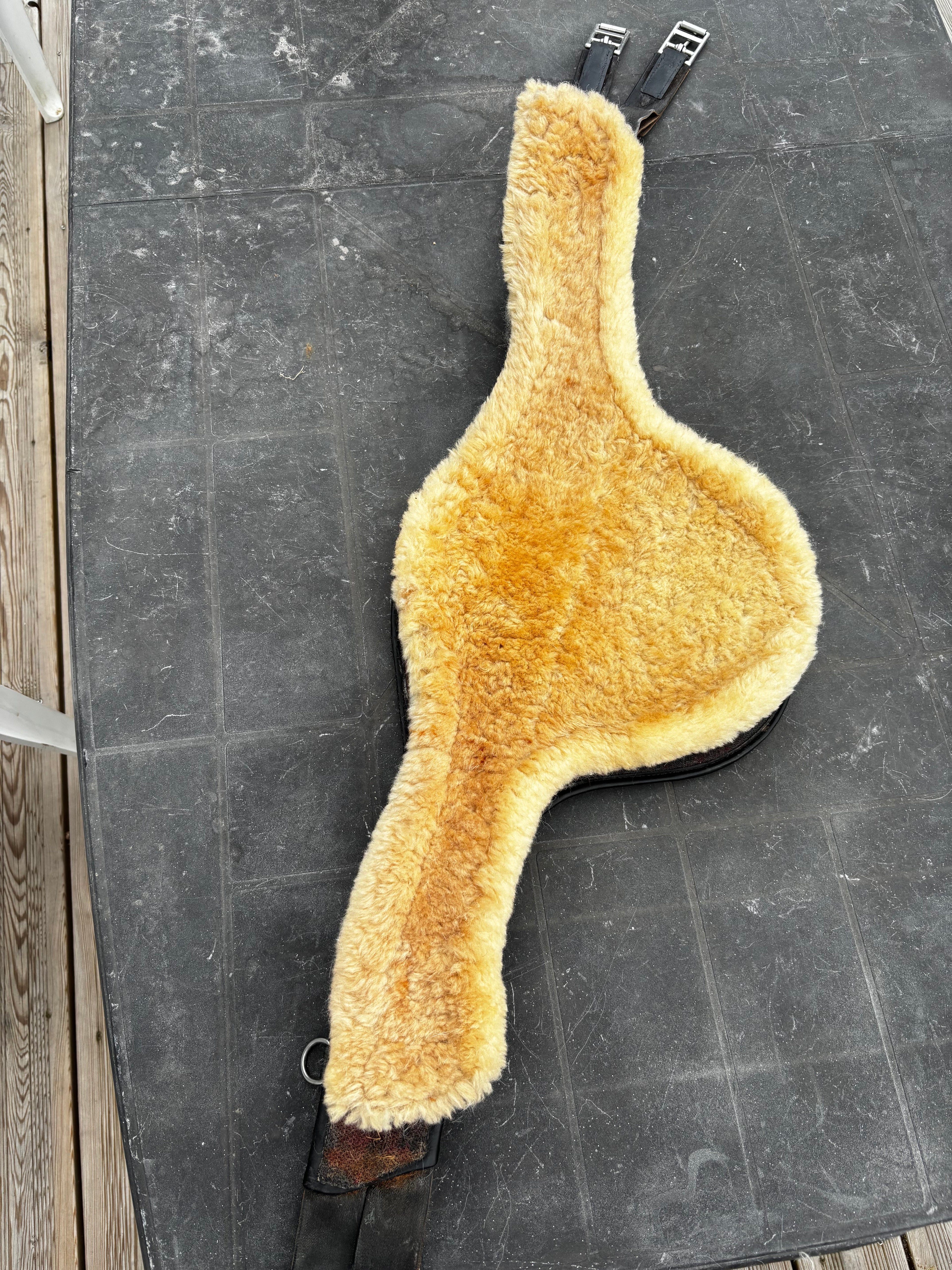 Bavette CWD CH Sellerie