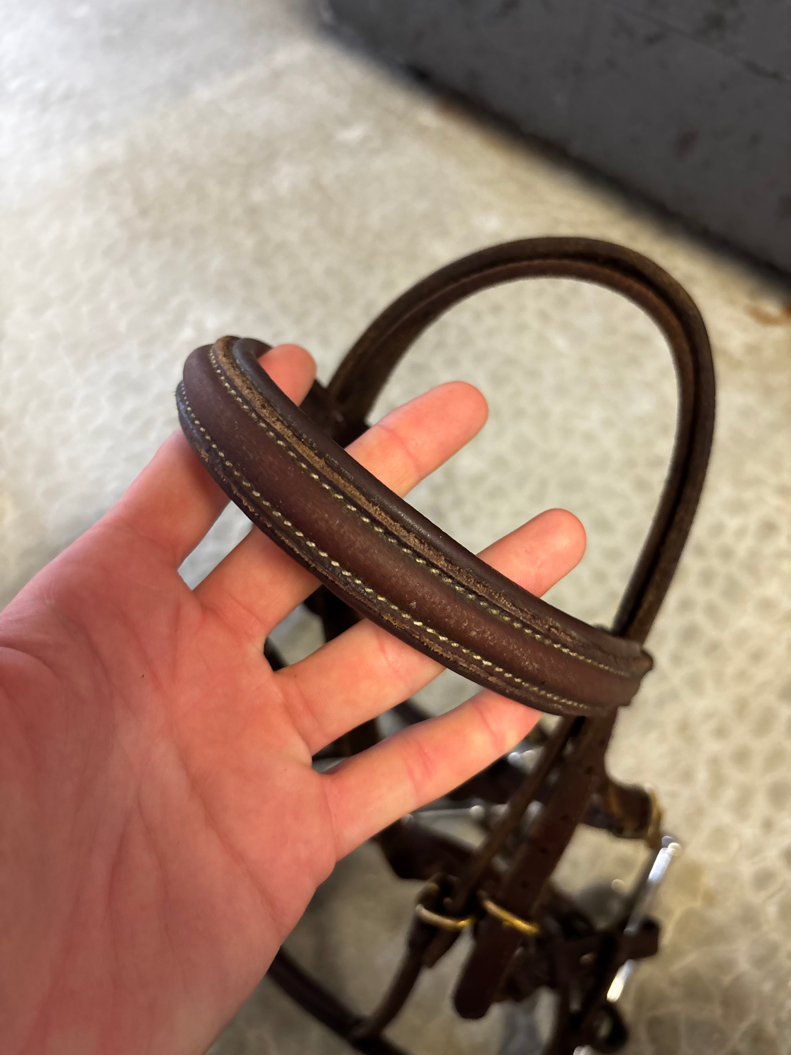 Filet poney CH Sellerie