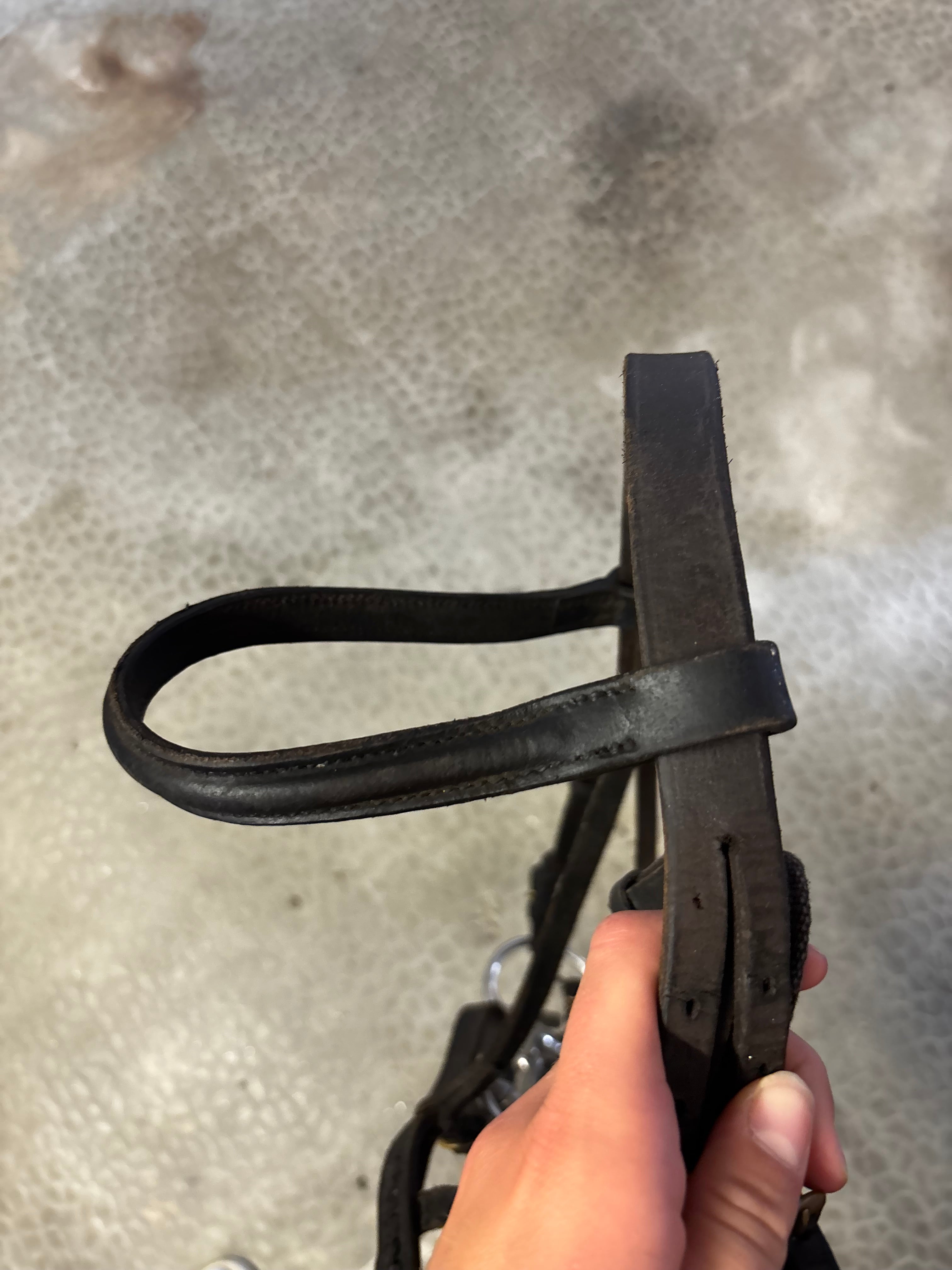 Filet poney CH Sellerie