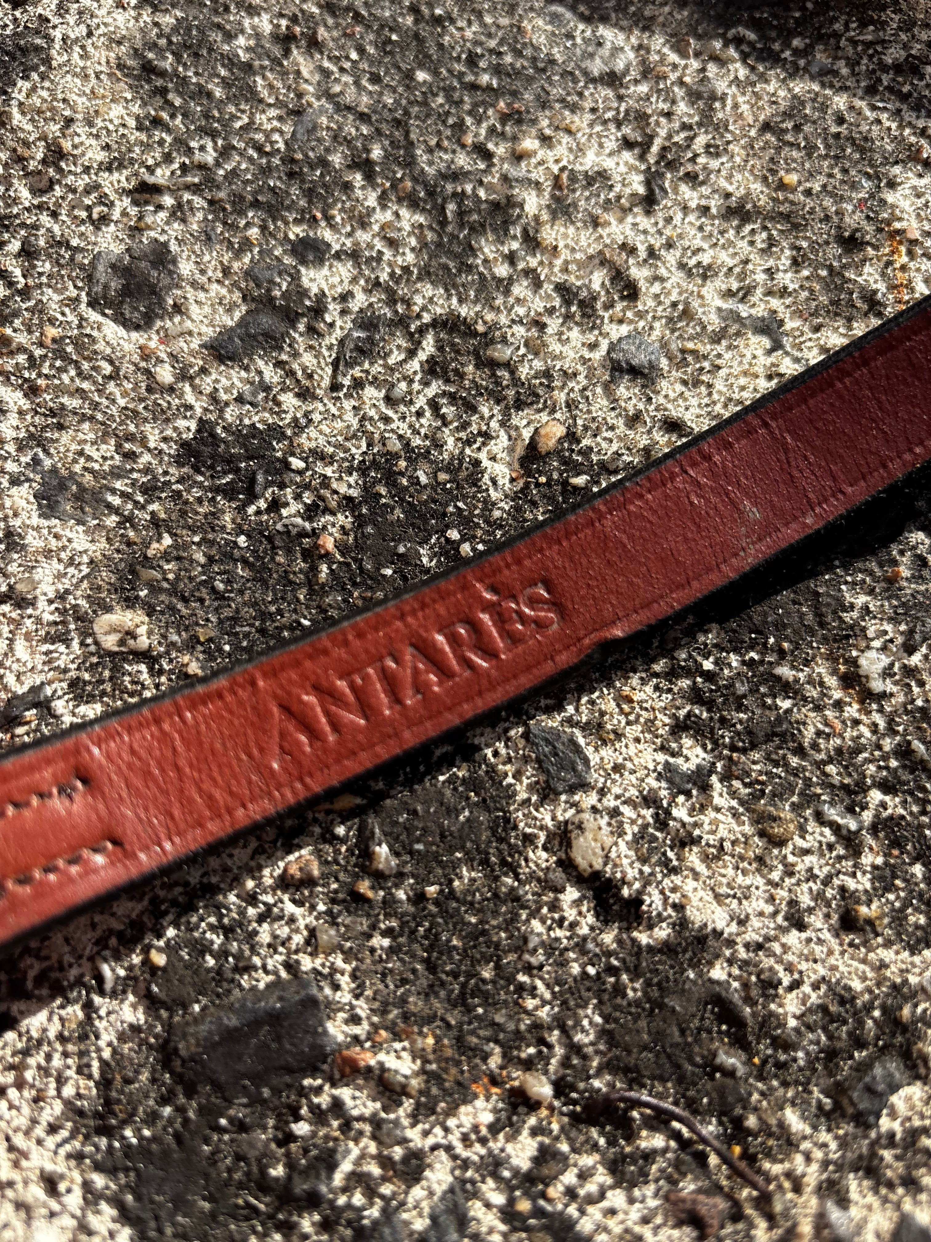 Rênes antares CH Sellerie