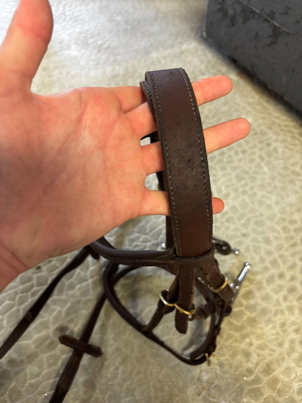 Filet poney CH Sellerie
