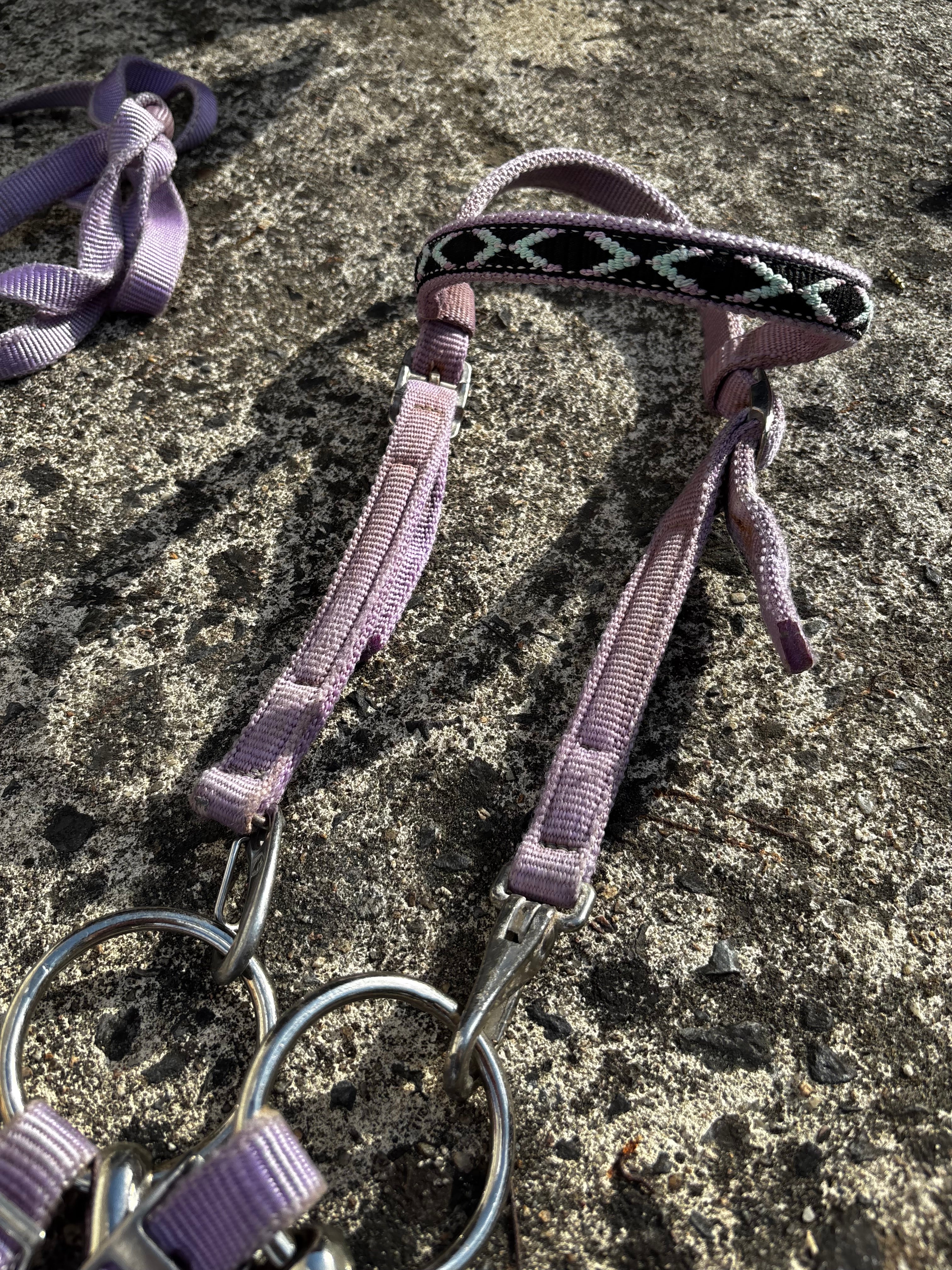 Ensemble filet+collier de chasse CH Sellerie