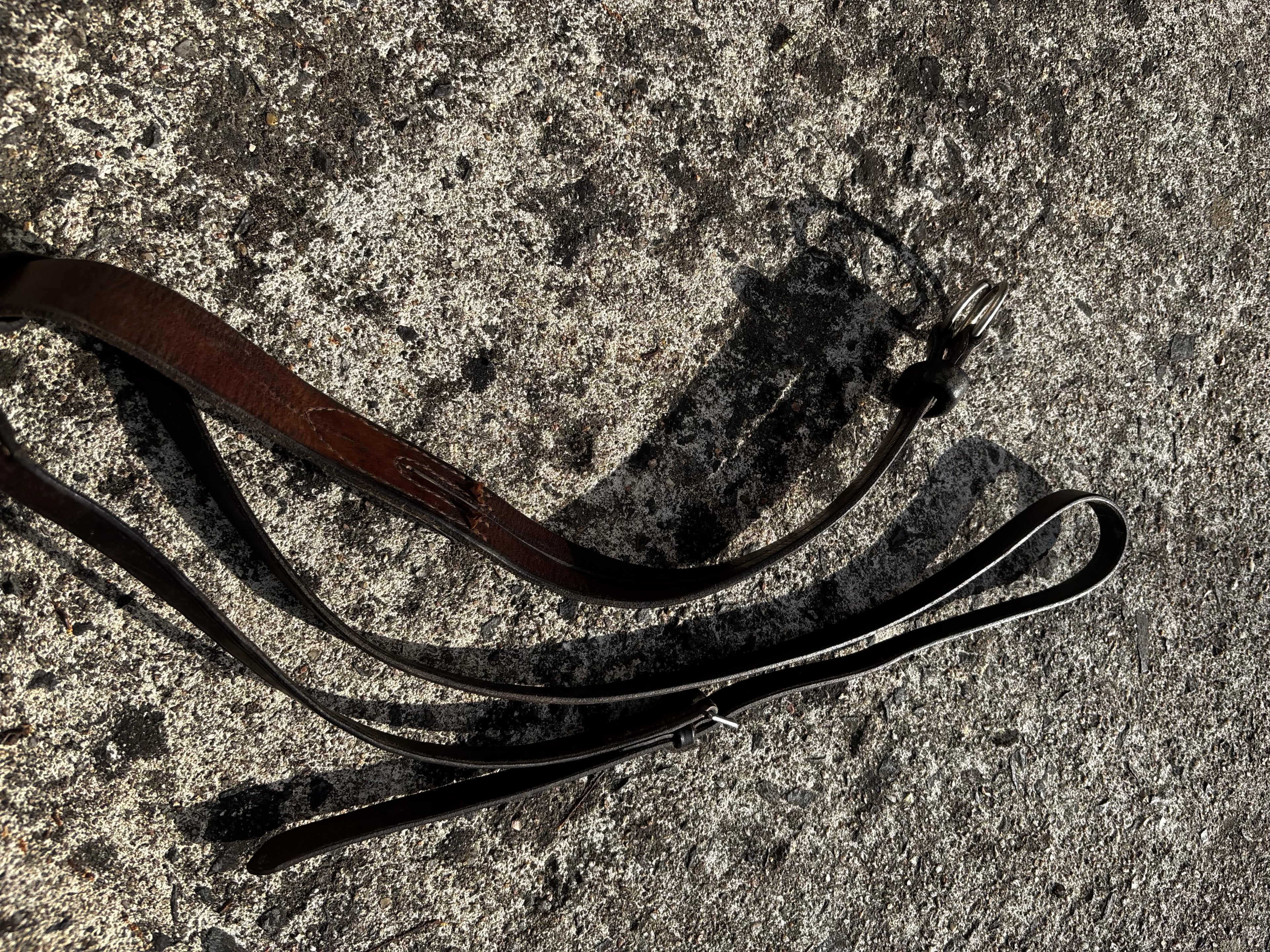 Martingale à anneau CH Sellerie