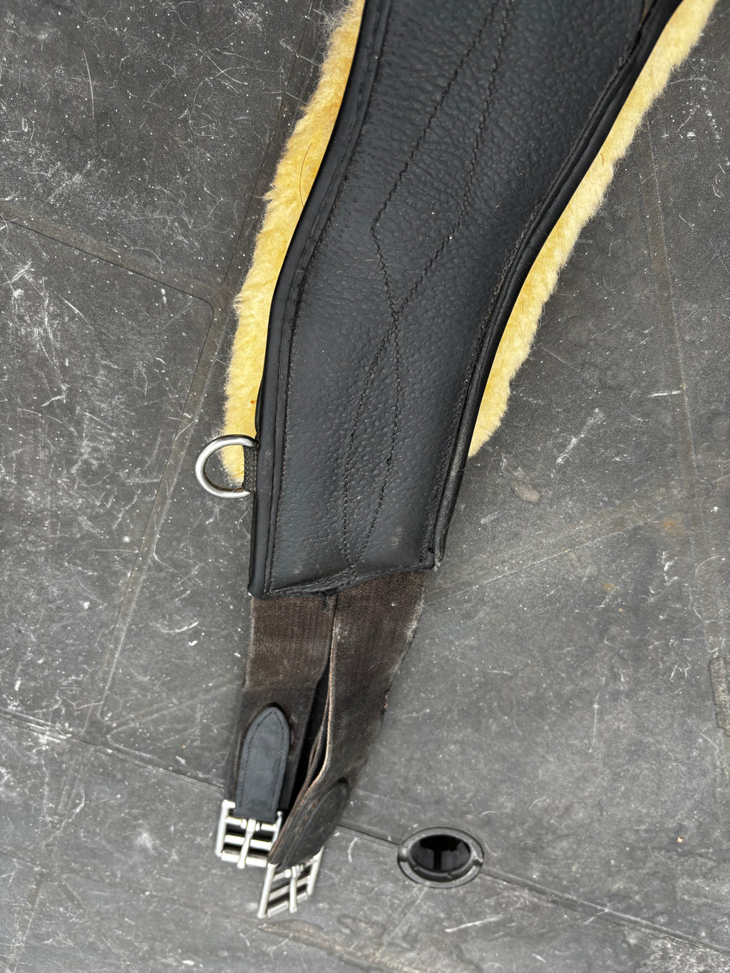 Bavette CWD CH Sellerie