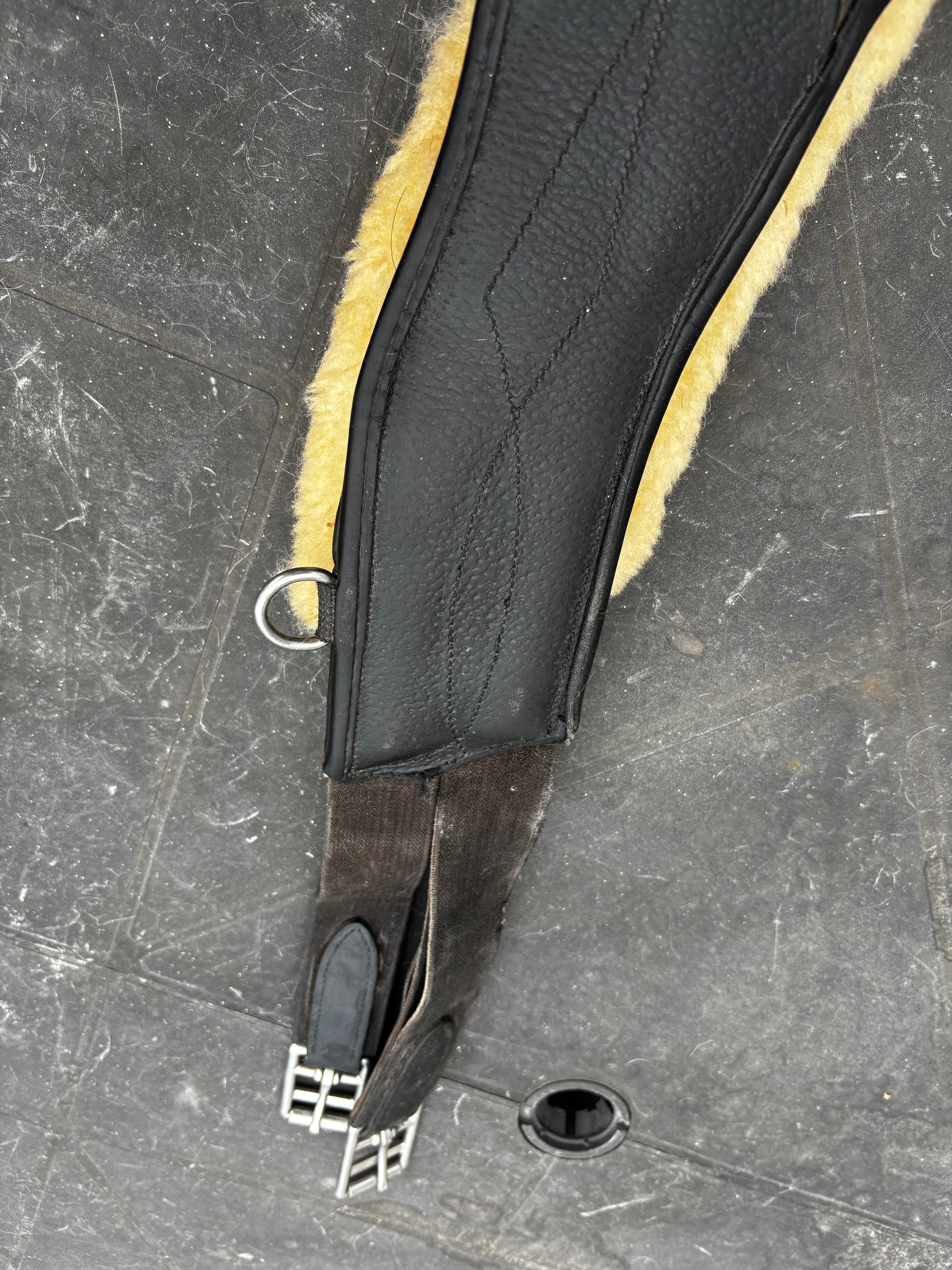 Bavette CWD CH Sellerie