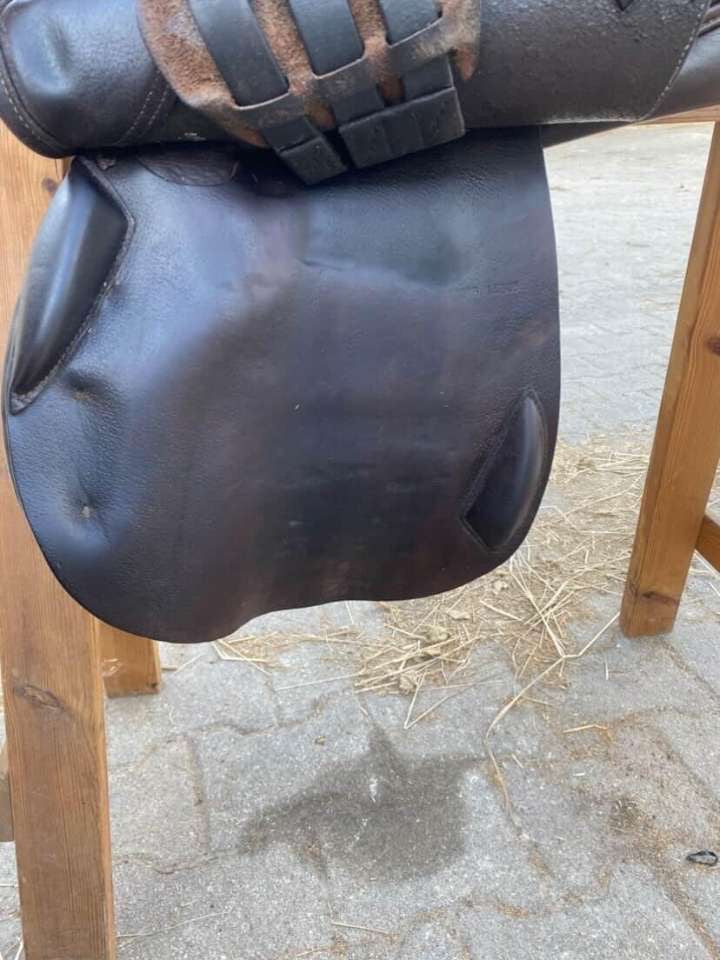 Selle Éric Thomas CH Sellerie
