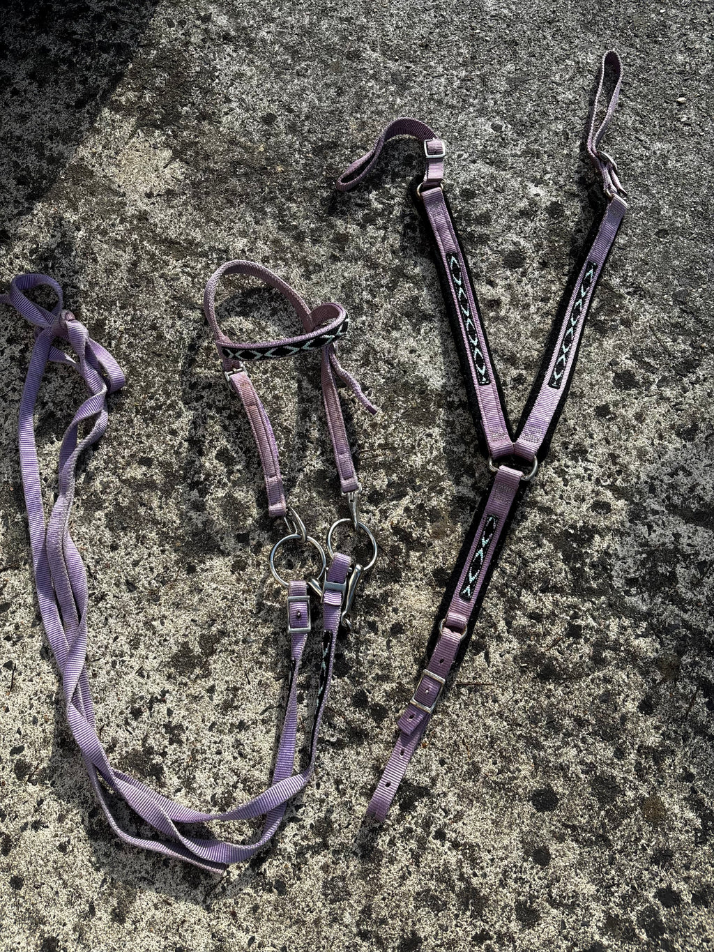 Ensemble filet+collier de chasse CH Sellerie