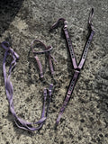 Ensemble filet+collier de chasse CH Sellerie