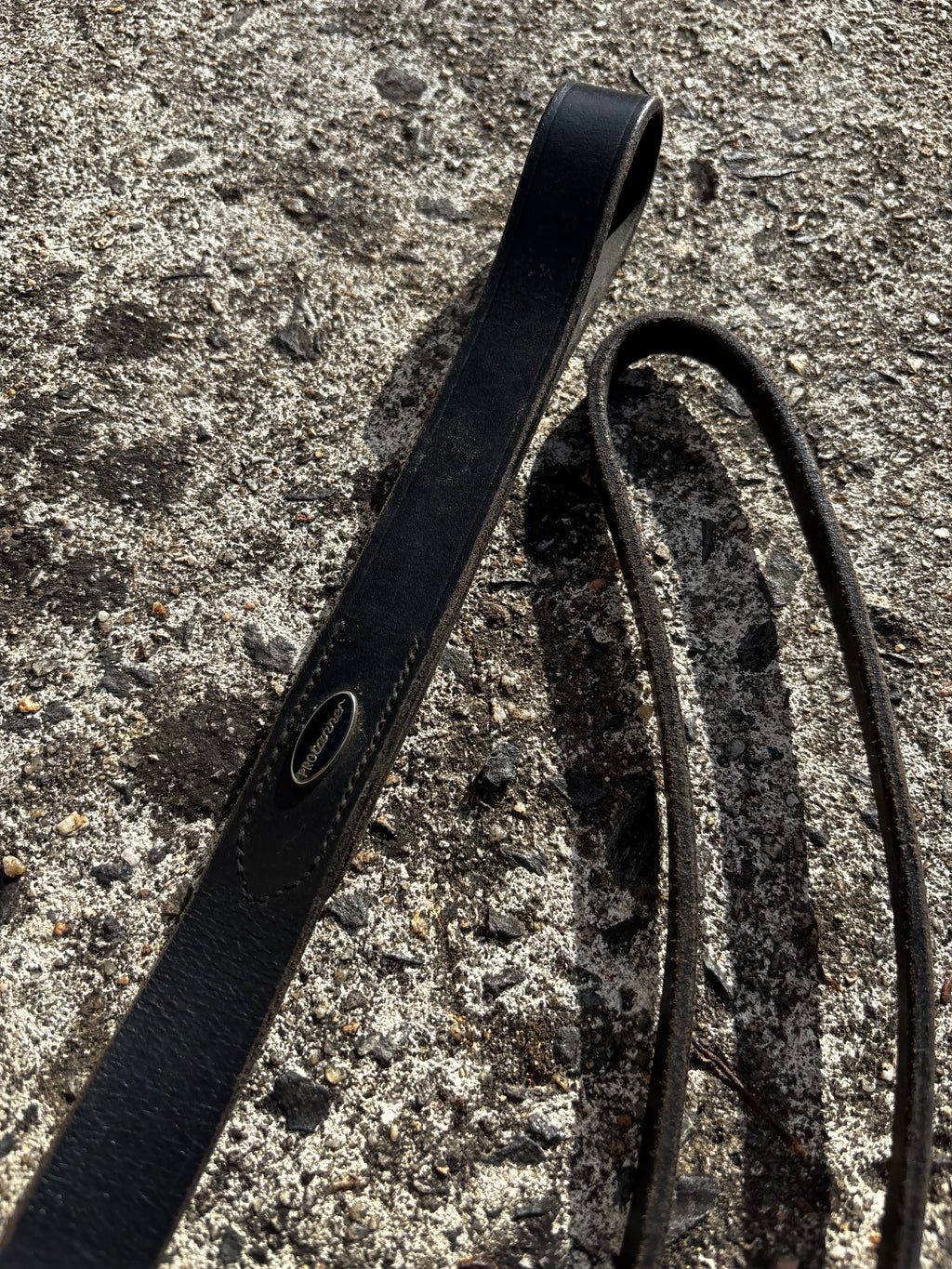 Martingale fixe CH Sellerie