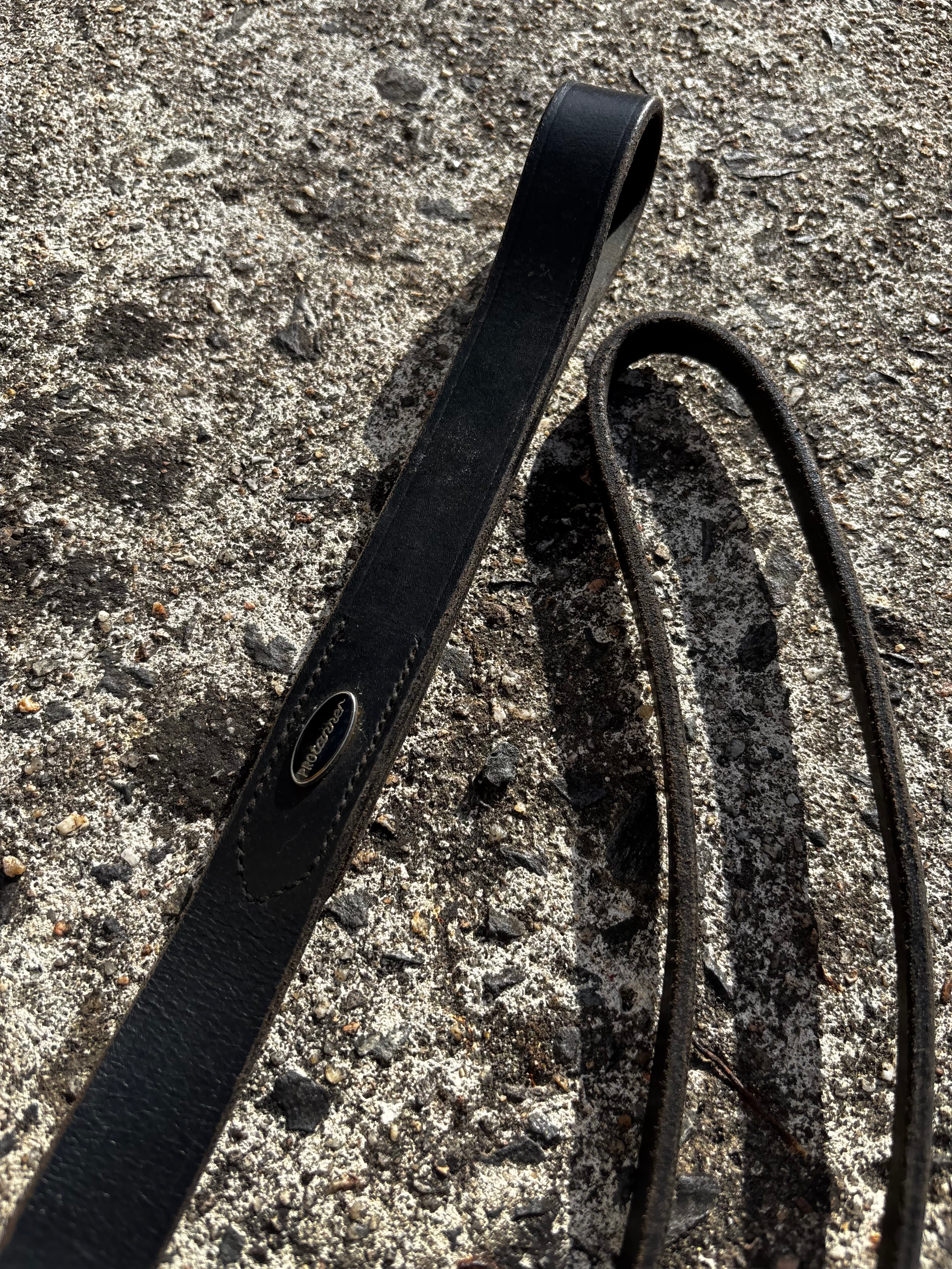 Martingale fixe CH Sellerie