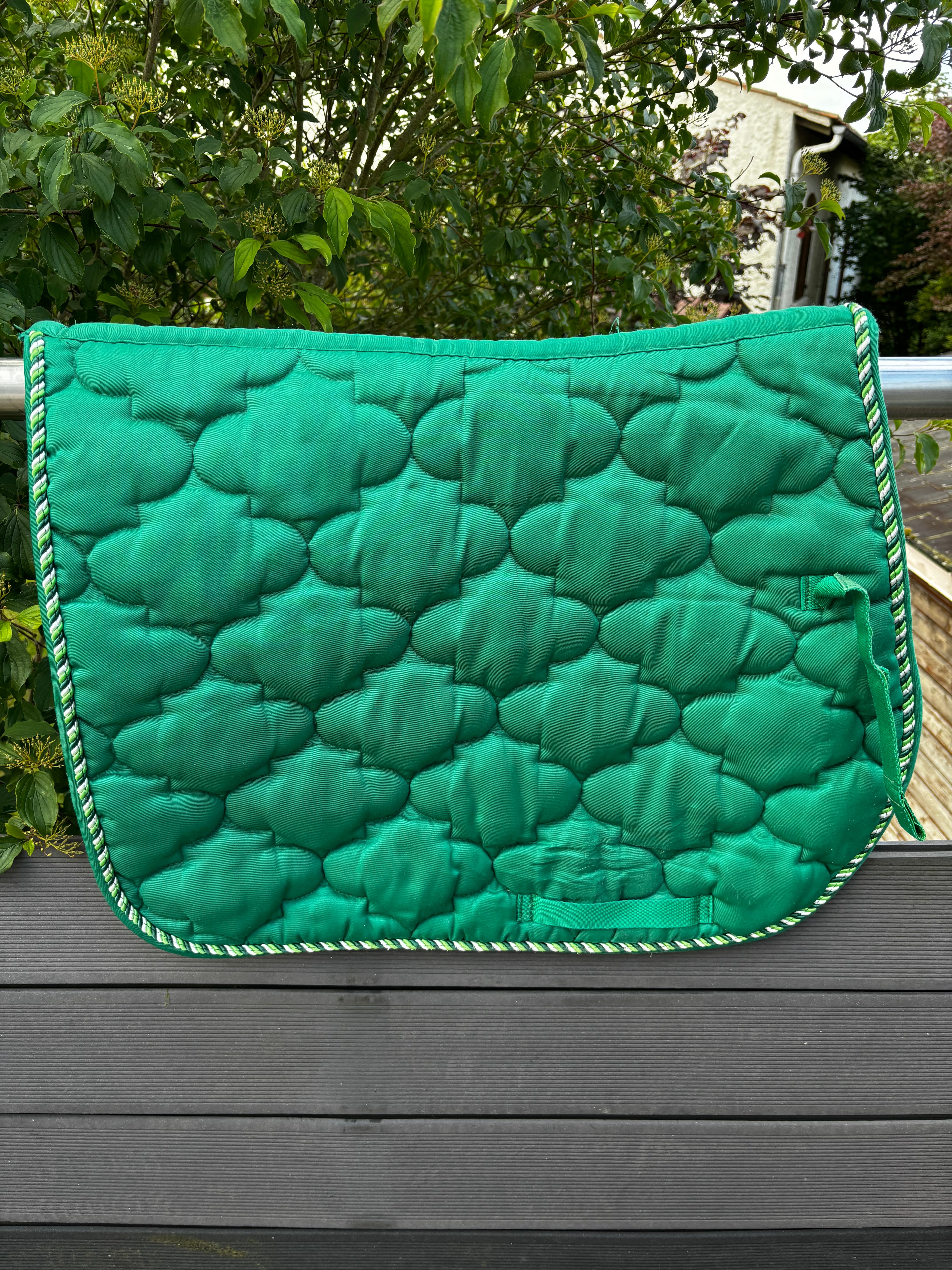 Tapis vert CH Sellerie